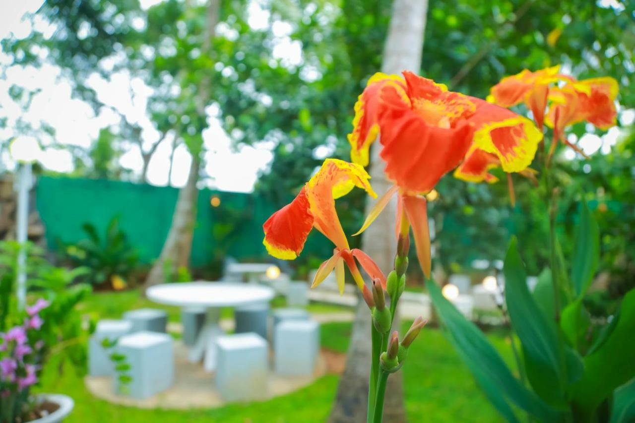 Hotel Moonstone Anuradhapura Εξωτερικό φωτογραφία